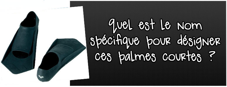 quel-est-lr-nom-specifique-pour-designer-ces-palmes-courtes