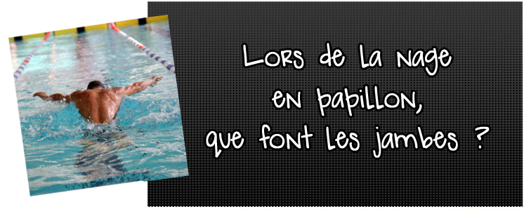 lors-de-la-nage-en-papillon-que-font-les-jambes