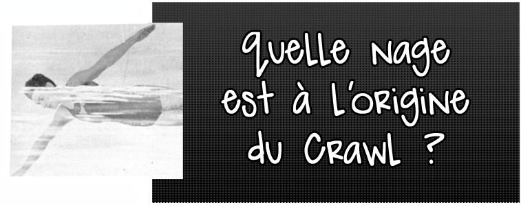 quellae-nage-est-a-l-origine-du-crawl