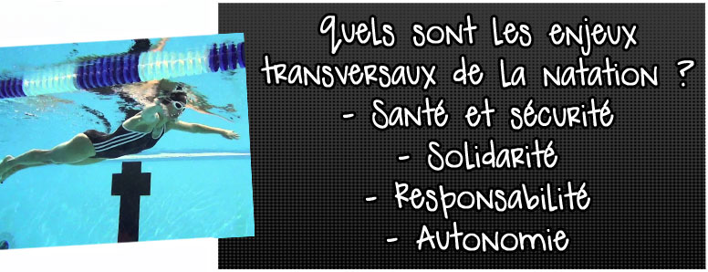 quels-sont-les-enjeux-trans-versaux-de-la-natation